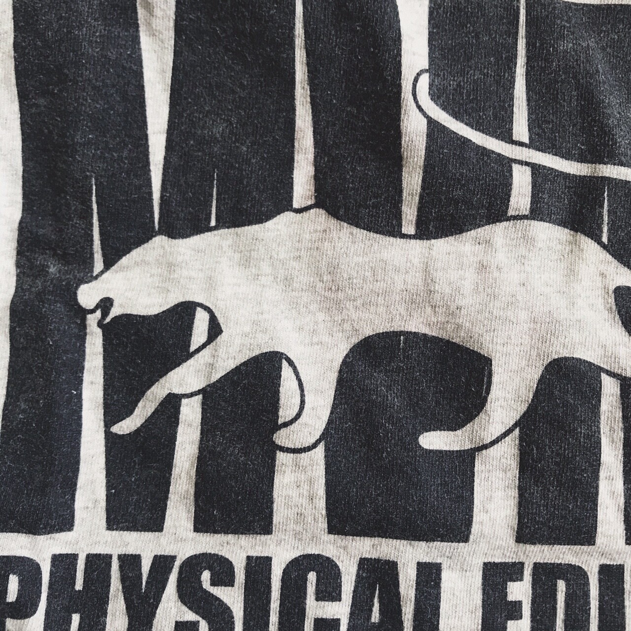 Classic High School Sports Tee MVMS Physical Education Puma Mascot Gray XXS gallery