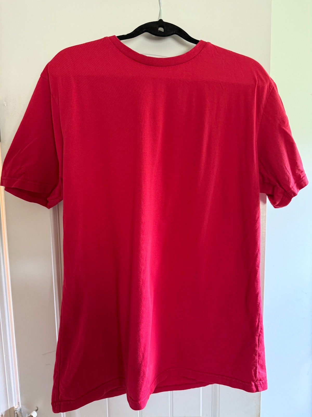 colorful standard t-shirt size large