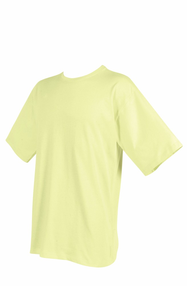 Hering Dzarm Men’s Basic Jersey Crewneck Tshirt Tee 6291