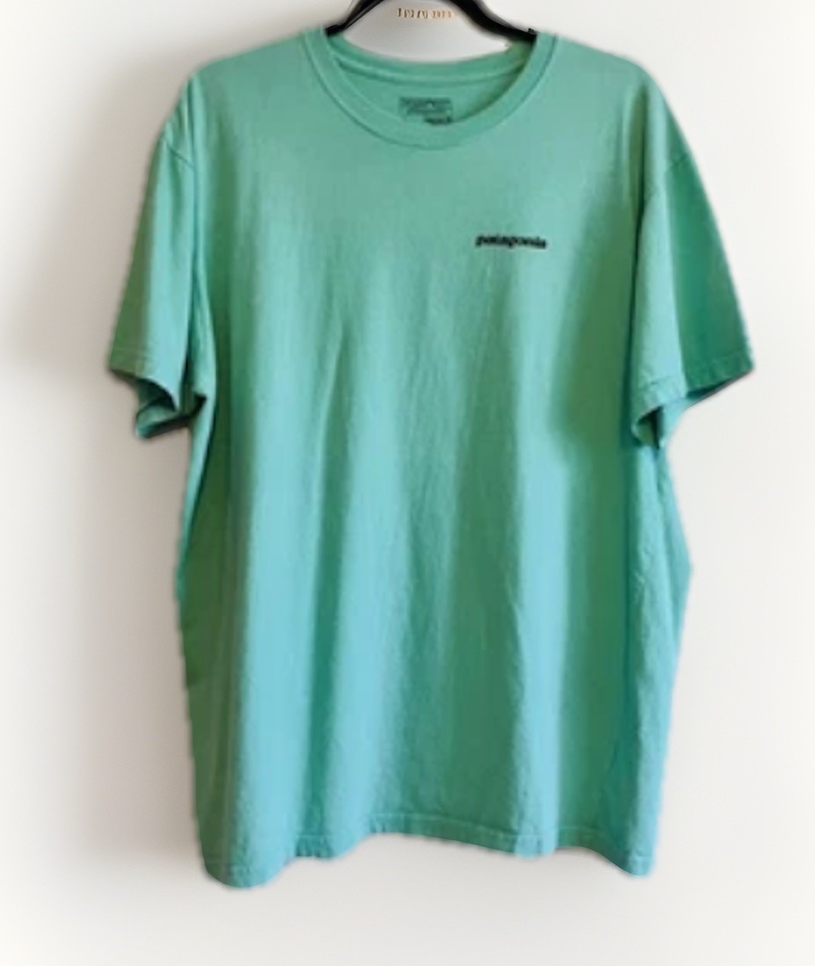 Patagonia Shirt Mens Large Green Regular Fit P-6 Logo Graphic Outdoor Tee gallery