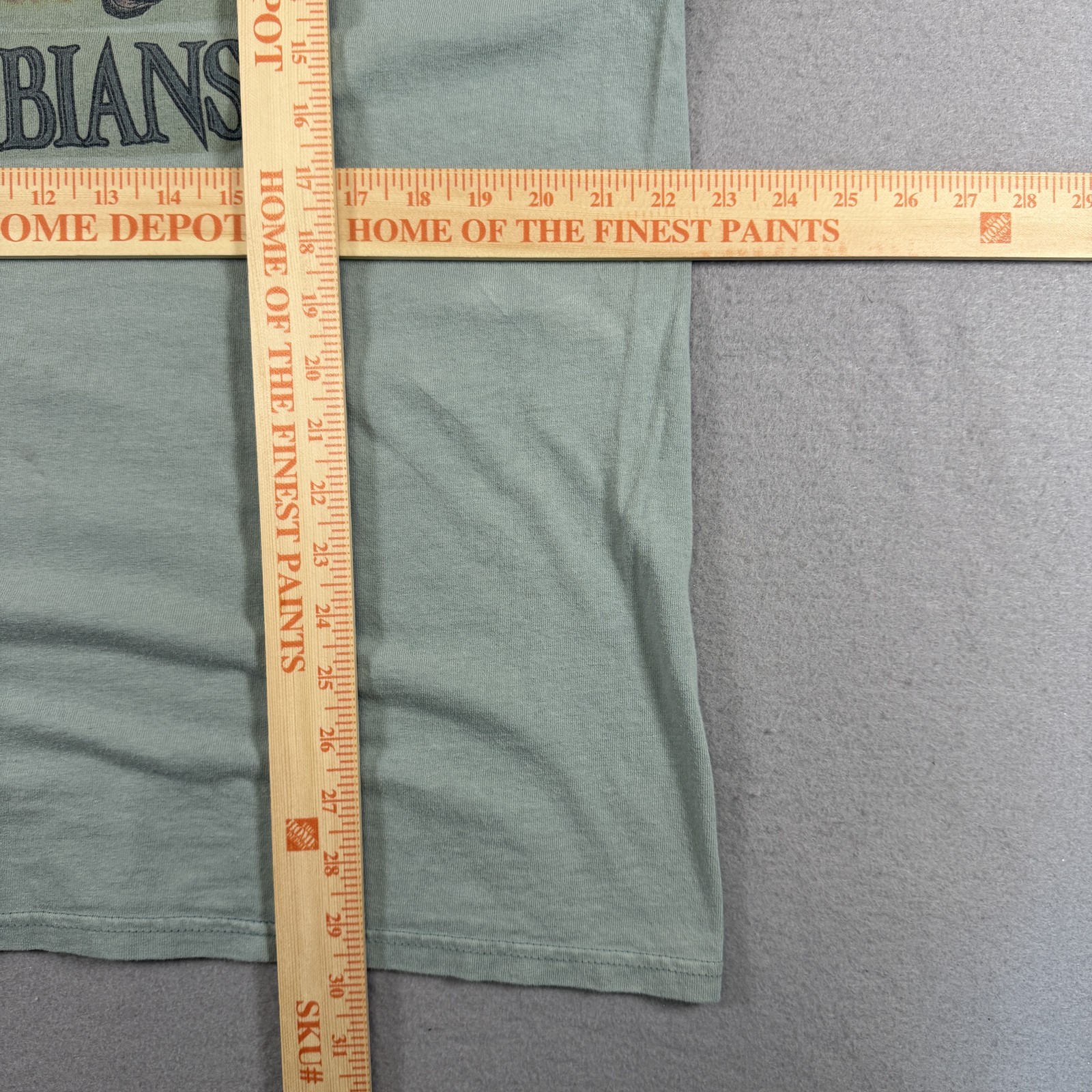Anvil T-Shirt Men's XL Mint Green Arabians Horse Nature Animal 100% Cotton gallery