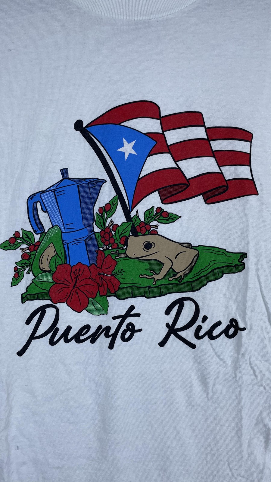 Gildan Shirt Mens XL White Puerto Rico Flag Coqui Graphic Tee T-Shirt Travel gallery