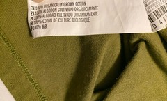 Olive Green Organic Cotton Rabbit Graphic Women’s T-Shirt Tee Shirt Top Bunny