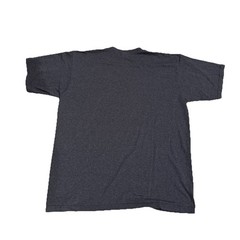 The North Face Text Logo Established 1968 T Shirt Gray Sz Large Gorpcore EUC
