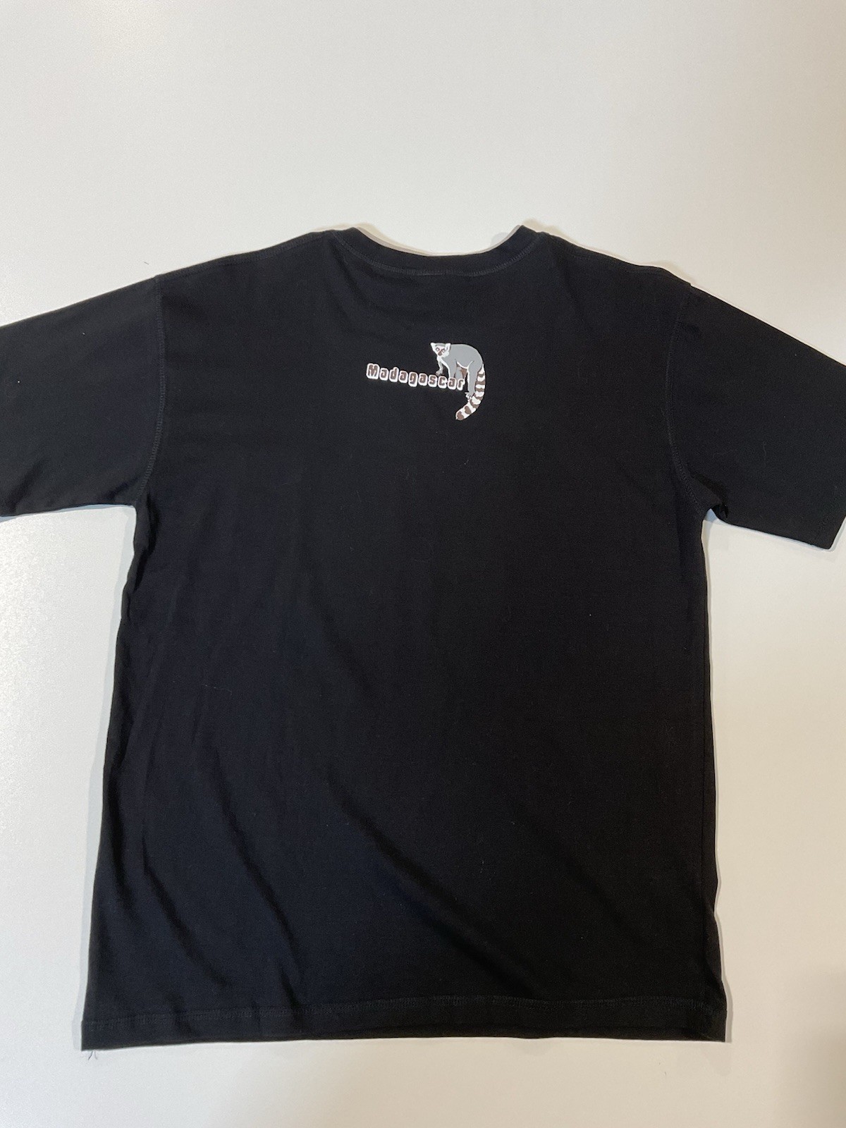 Vintage Madagascar Lemurs T Shirt Sz M Tourist Tee Funny Y2K gallery