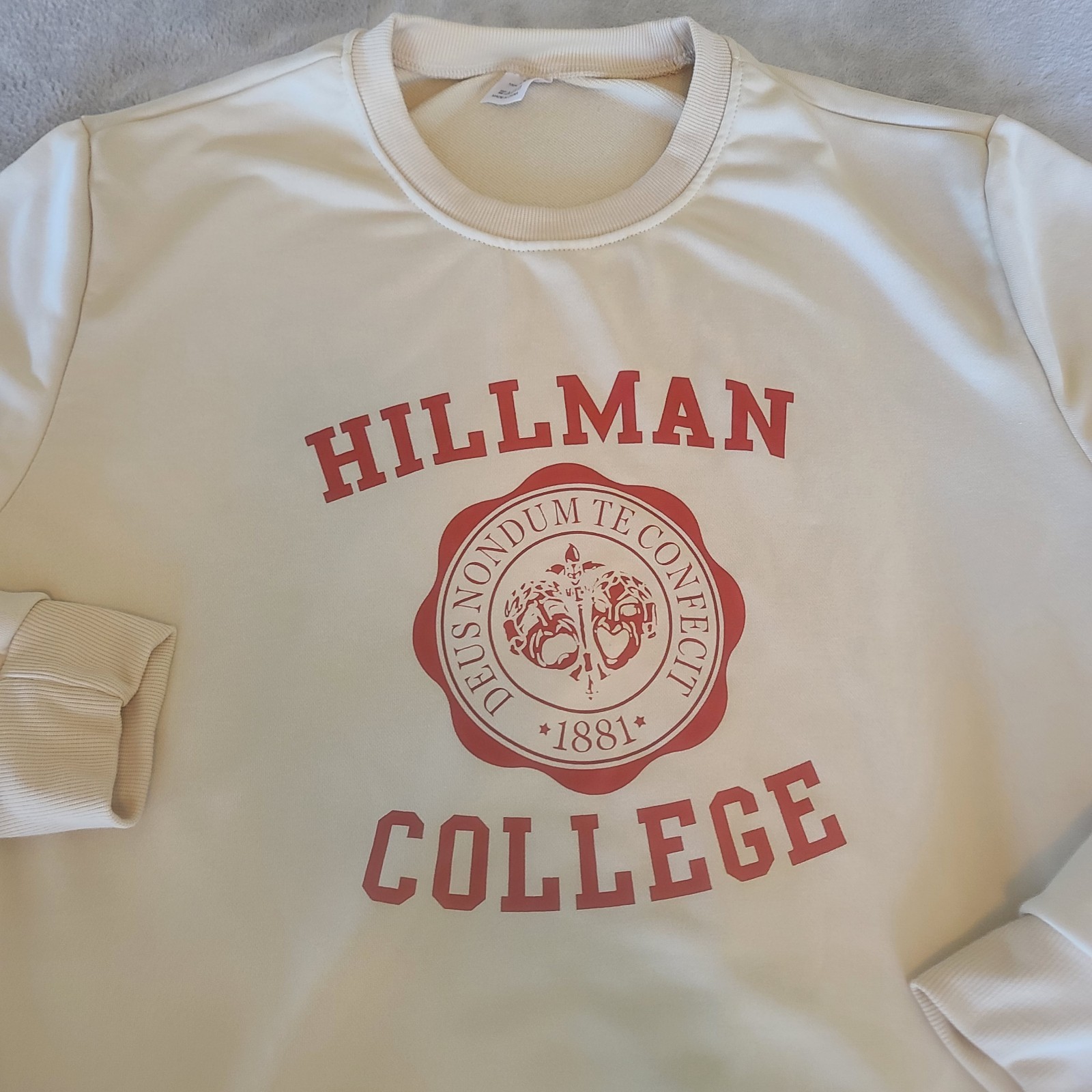 Hillman College Mens Extra Large Brown Sweatshirt Hoodie Pullover gallery