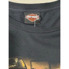 Harley-Davidson Texas Rebel Graphic tee