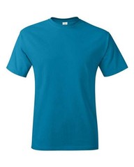 Hanes Unisex Authentic T-Shirt