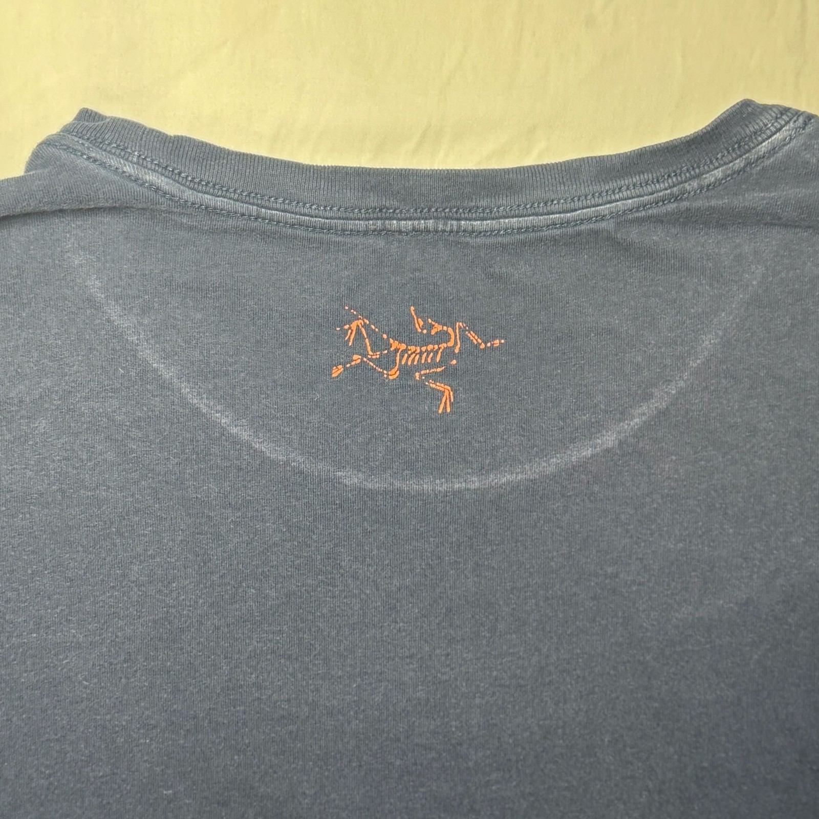 Arc'teryx Arc'Word Mountain Forest Graphic T-Shirt gallery
