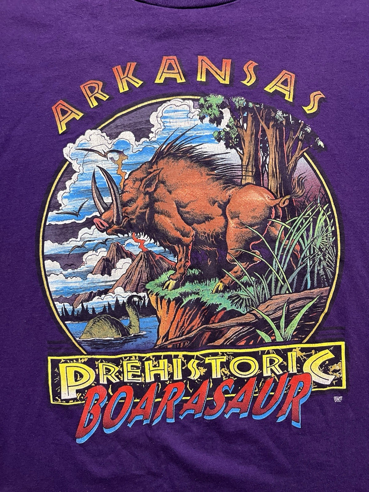 Vintage Arkansas Boarasaur T Shirt Deadstock XL 90s Dinosaur Boar gallery