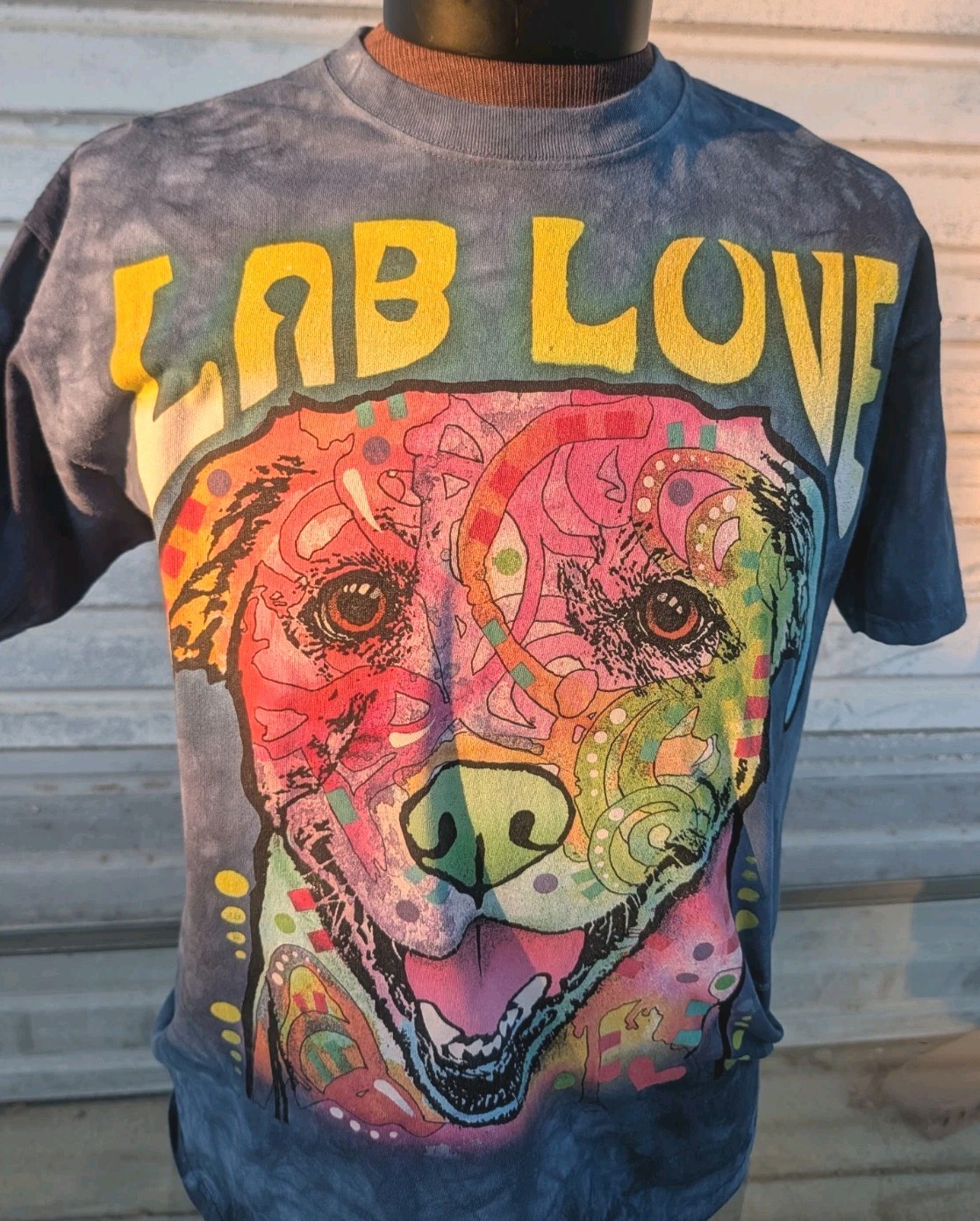 Lab Love The Mountain 2015 T-Shirt Mens L Blue Tie Dye Dog Vintage Y2K Tee
