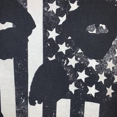 Misfits Danzig Fiend Skull American Flag Samhain Band T Shirt Small Big Print
