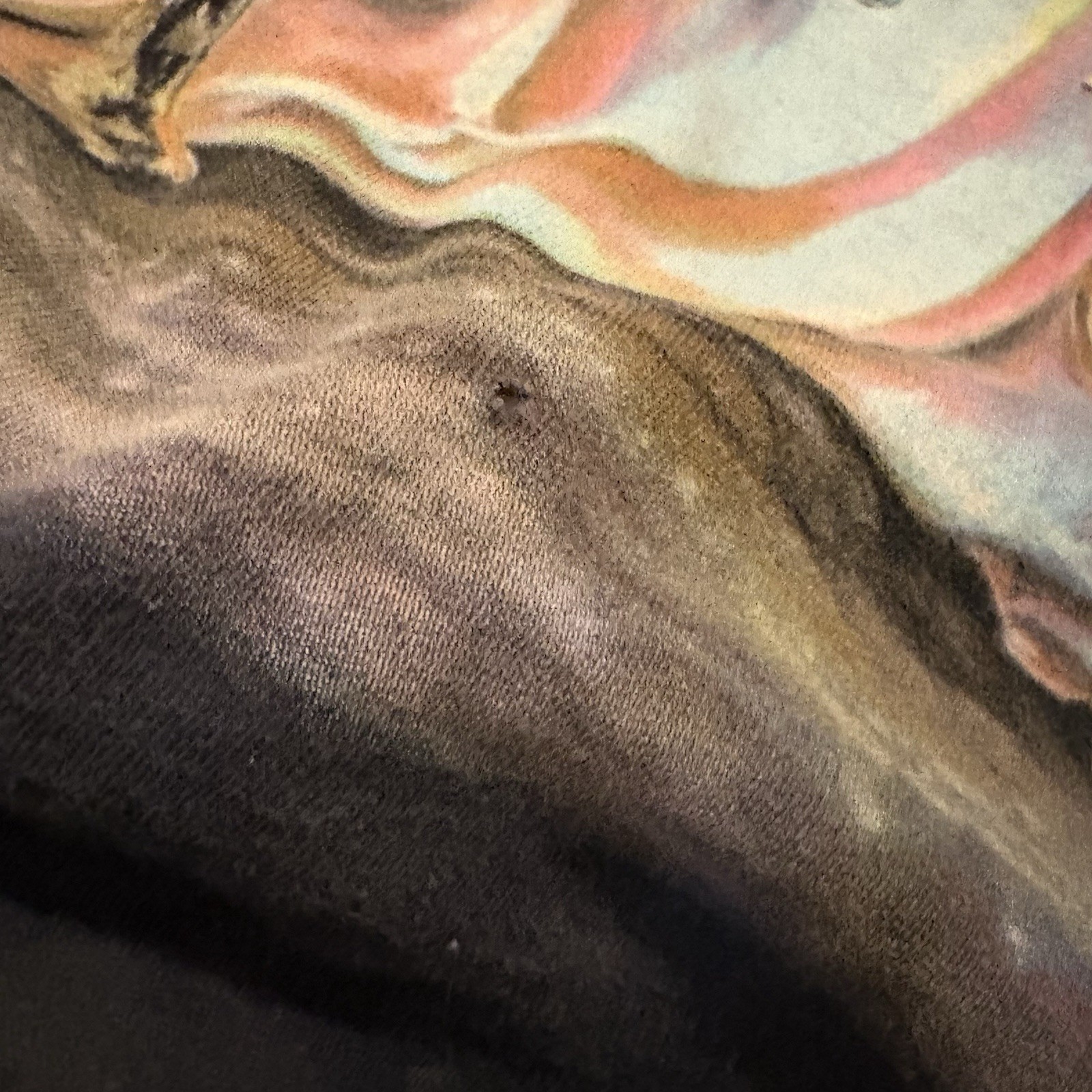 The Mountain Wizard Phoenix Vintage T Shirt XXL Fantasy Magic Sorcery Occult gallery