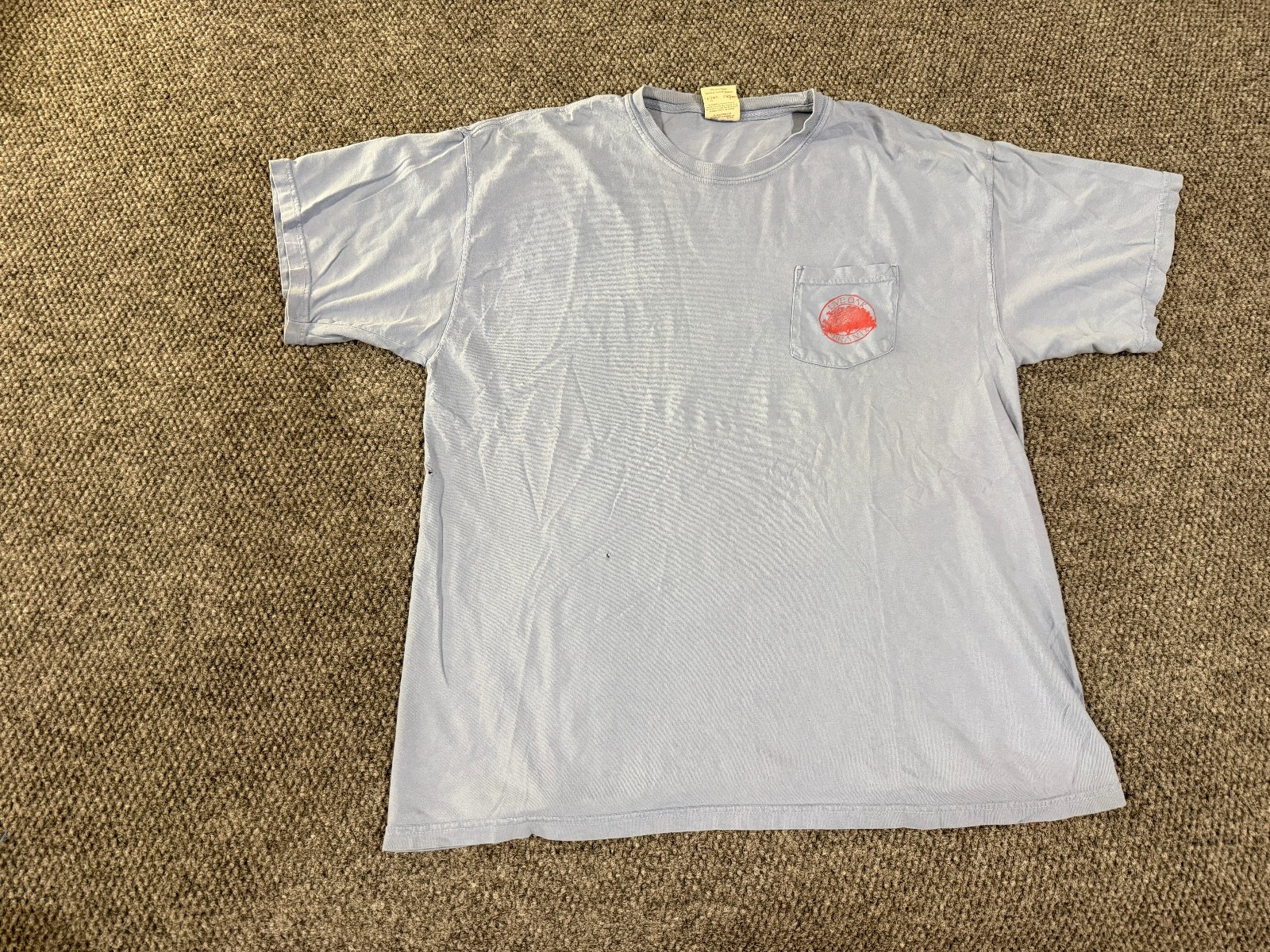 Comfort Colors t shirt mens XL blue hot sauce graphic live oak gallery