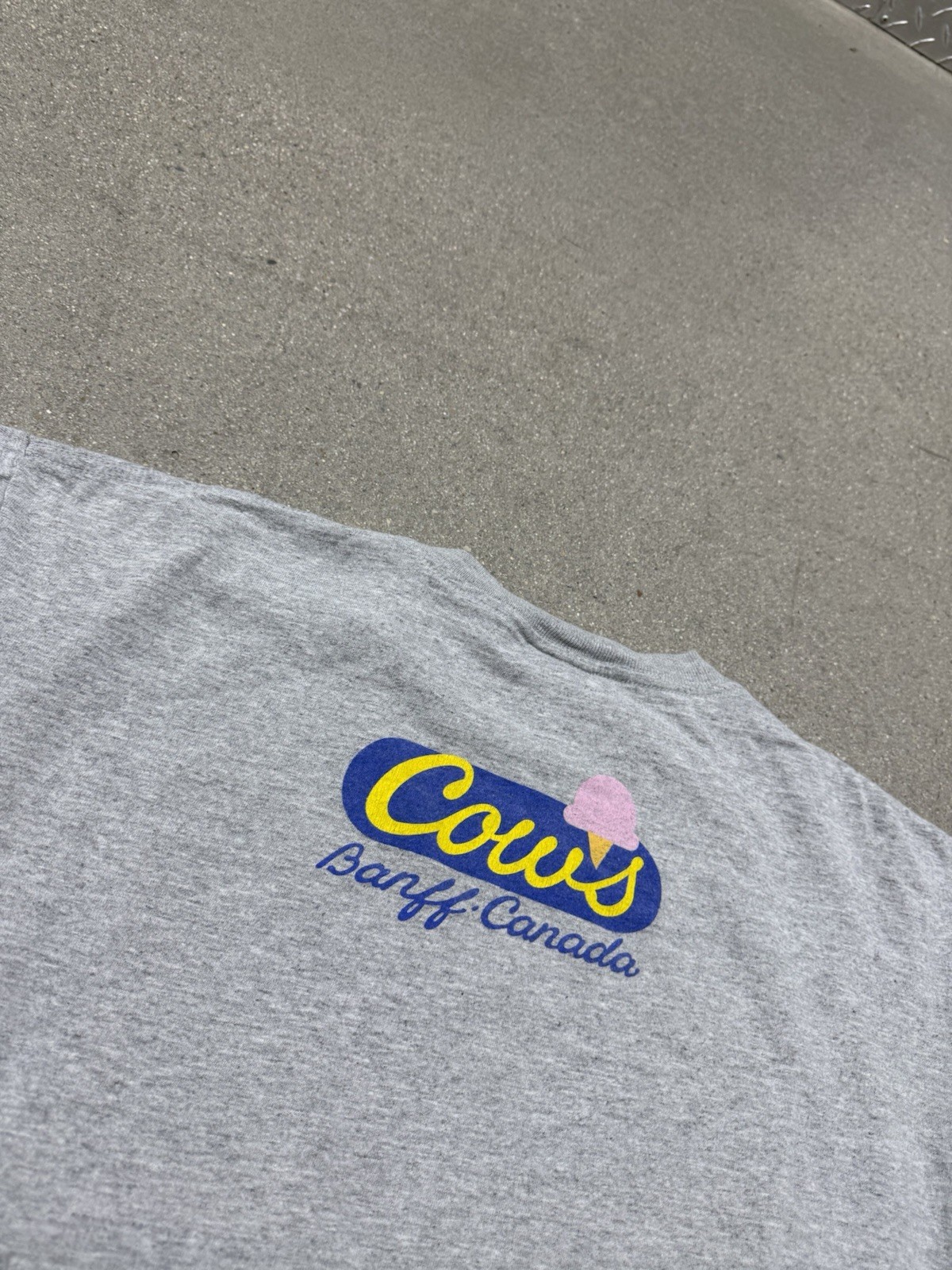 Vintage 90’s Cows Banff Canadian Shop Souvenir Graphic T-shirt L Men’s Gray gallery