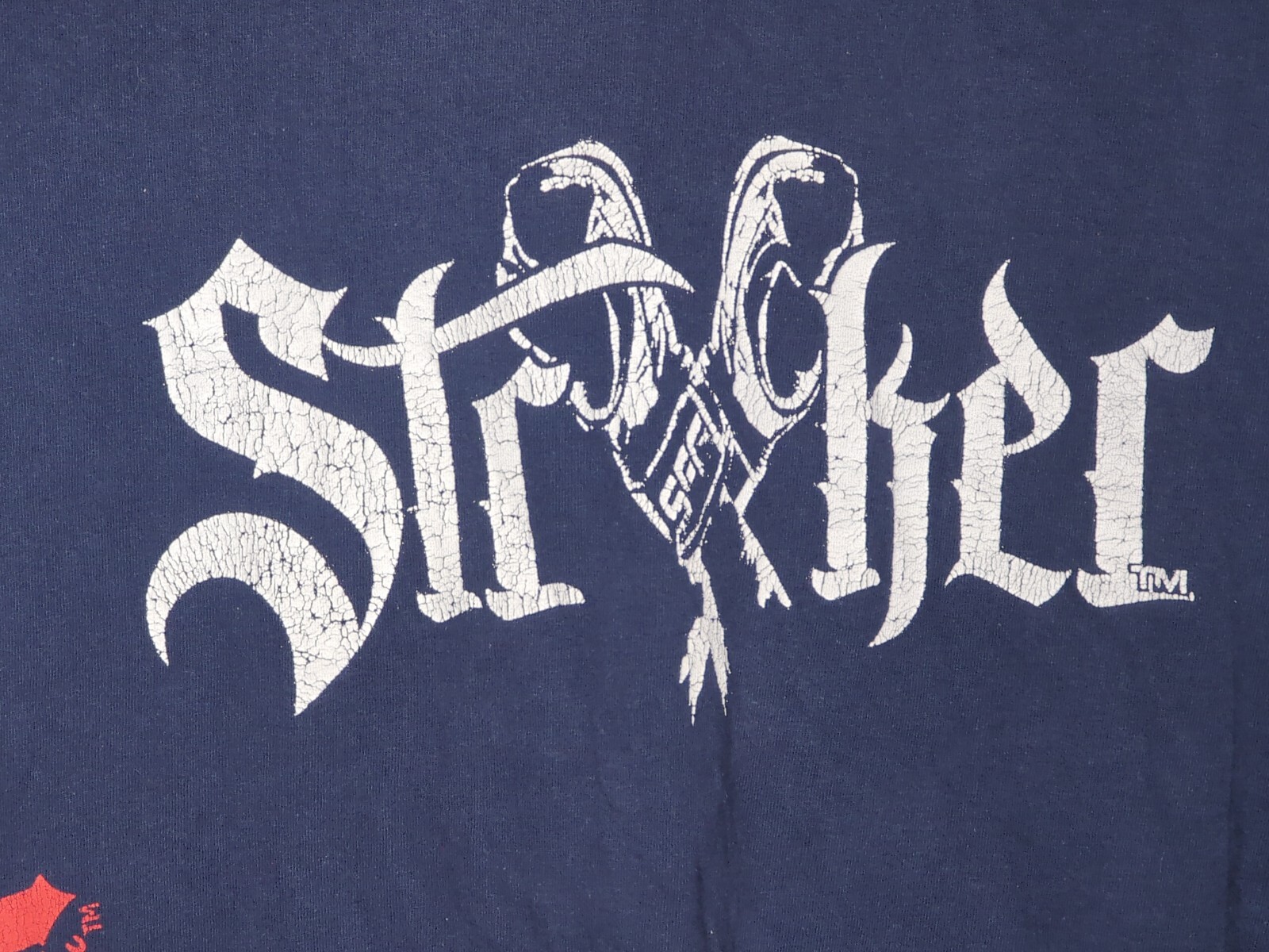Men’s MMA Stryker Fight Gear Brazilian Ju-Jitsu Graphic T Shirt XL RARE EUC gallery
