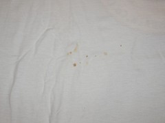 Vintage 90s Harp Common Ground Uncommon Lager Single Stitch T-Shirt XL