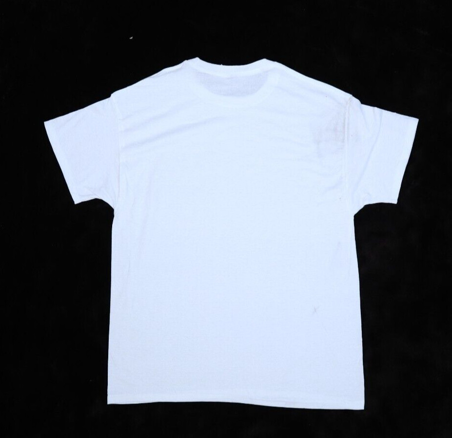 Hanes Ecosmart Adult Blank Plain White Short Sleeve T-Shirts Large Lot of 4 Pack gallery