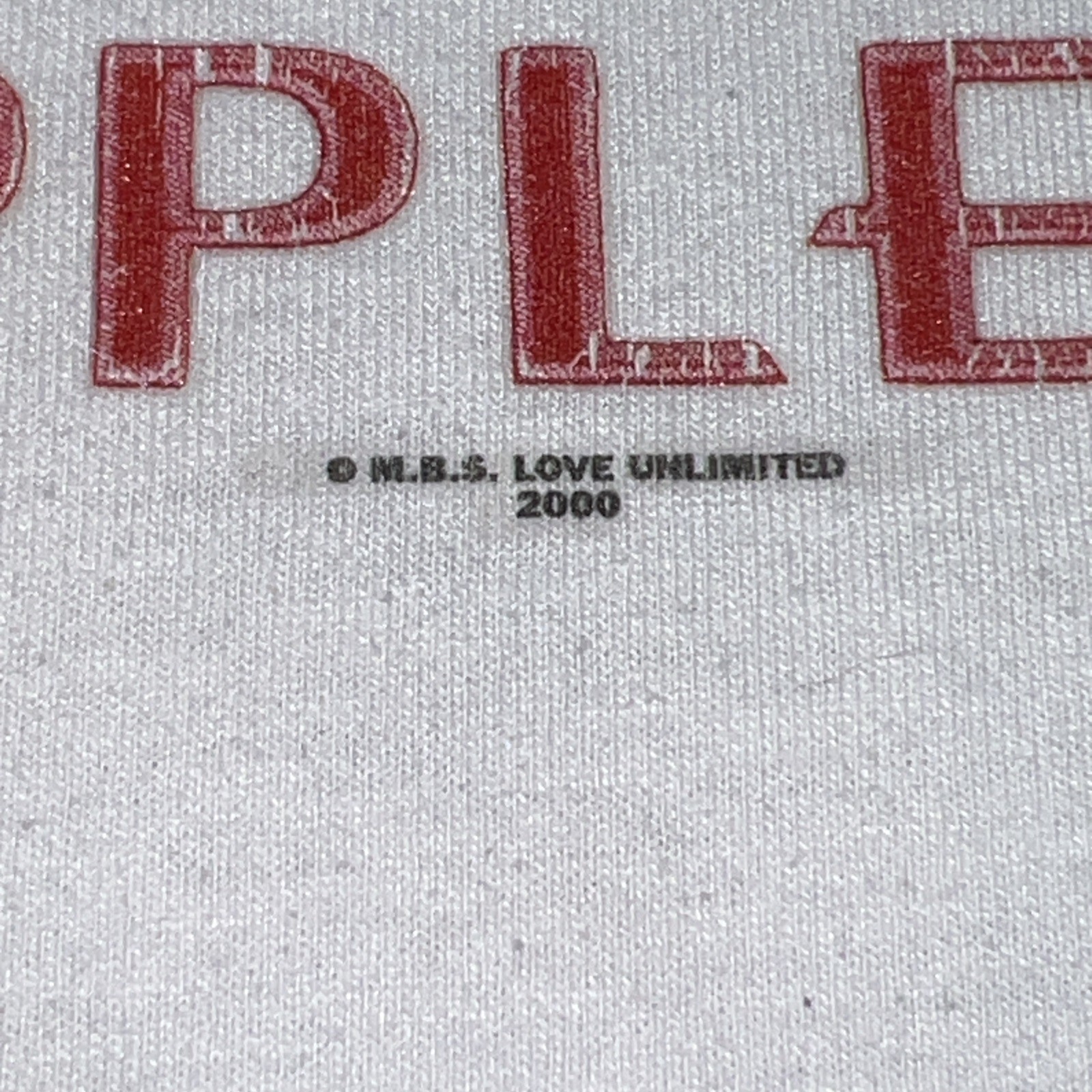 Vintage NYC New York Big Apple Shirt Unisex Large Fruit of the Loom 2000 Y2K gallery