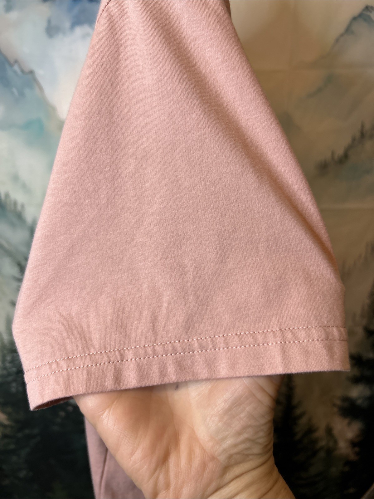 Fall Raven Men’s Size XL Tee Dusty Rose Pink gallery
