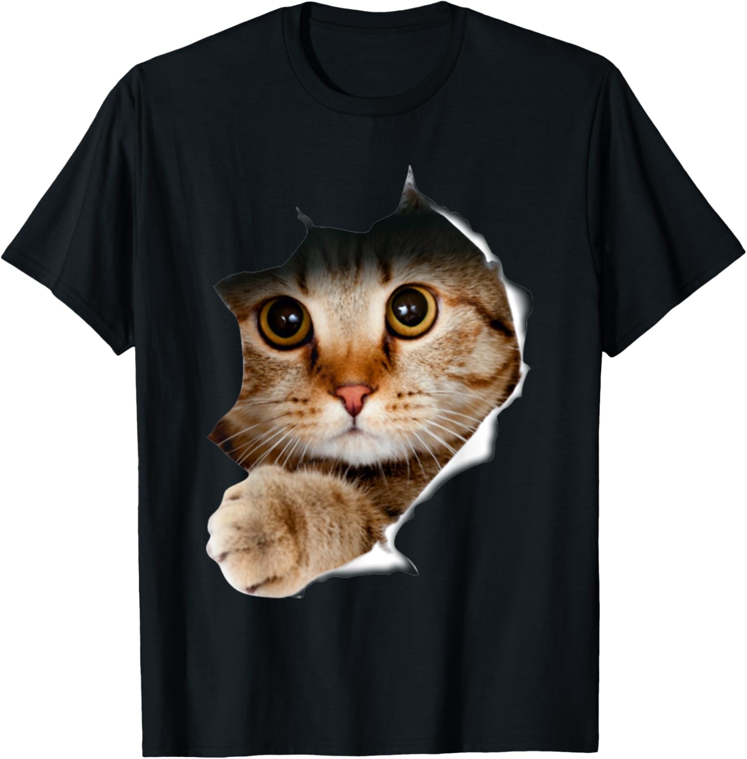 Kitten Lover Cute Kitten Cat Lover Funny And Cute Unisex T-Shirt gallery