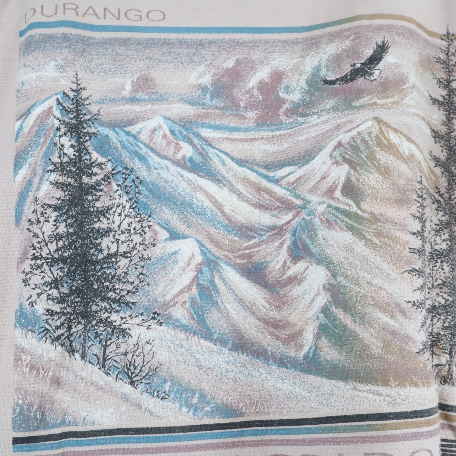 Vintage Durango Colorado Travel Destination Shirt Mountain Tops Scenic 90s XL gallery