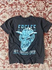 Giant Eagles Hell Freezes Over 1994 tour graphic t shirt L 22ptp 28 length