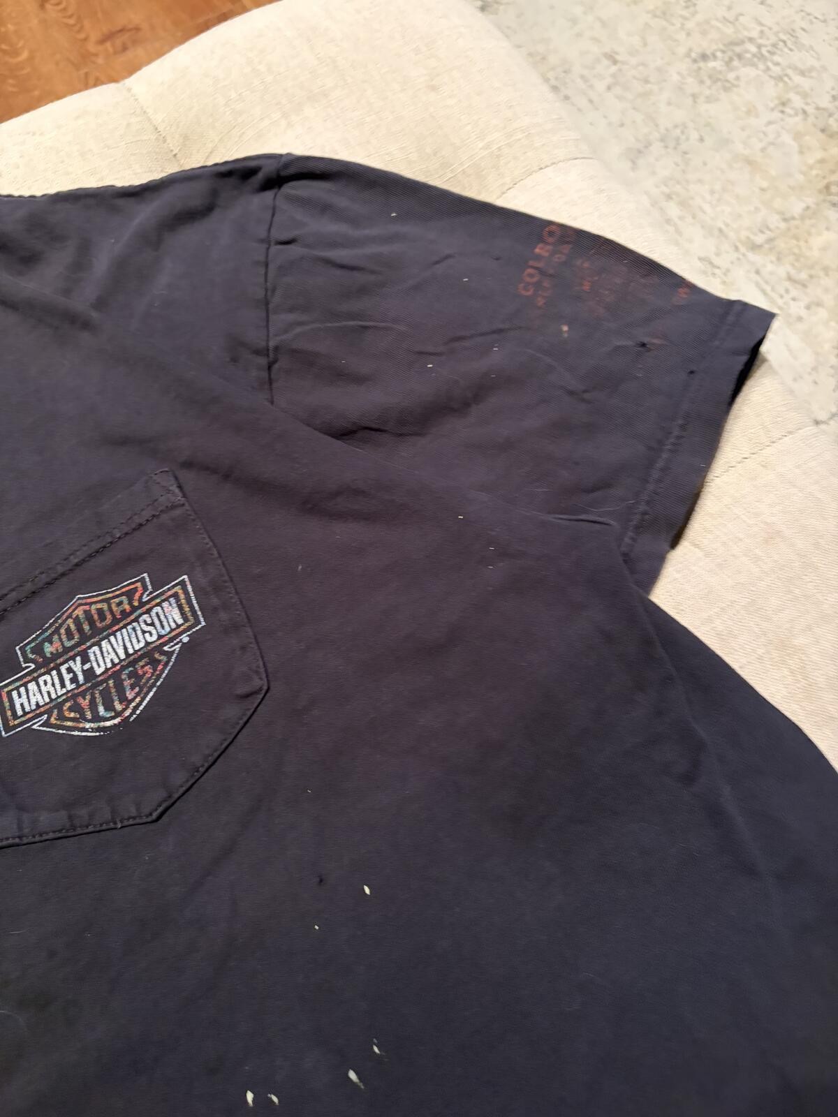 🦅 Vintage 90-00s holographic Harley-Davidson Eagle faded Graphic Tee gallery