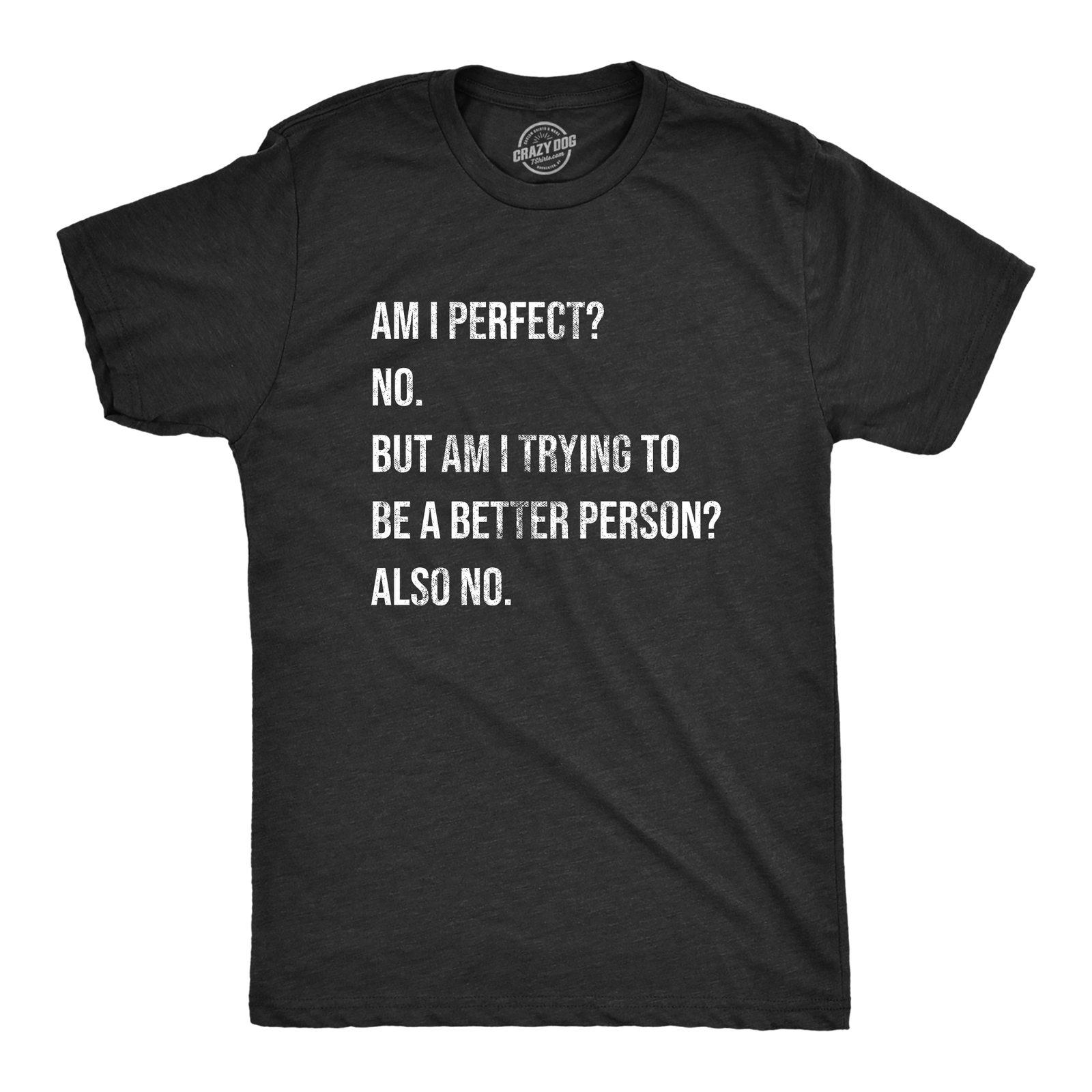 Mens Am I Perfect No T Shirt Funny Sarcastic Self Improvement Joke Novelty Tee gallery