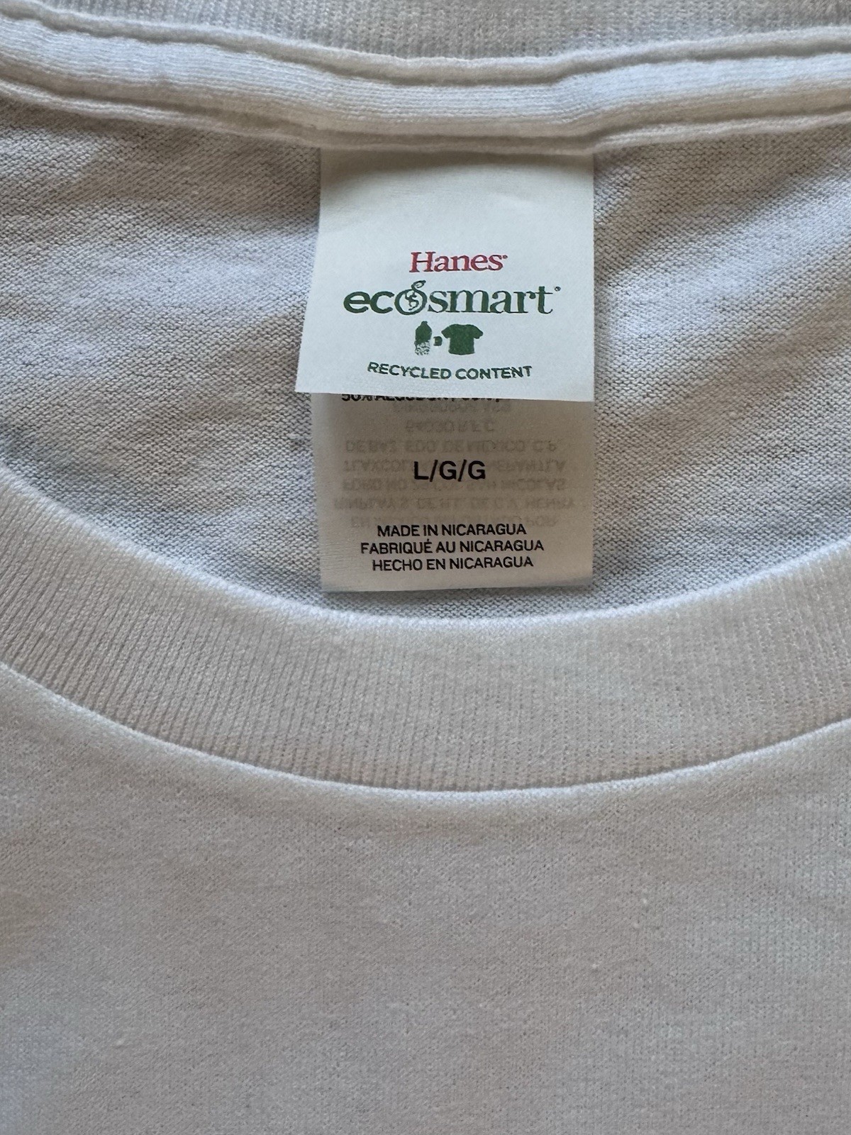 HANES ECOSMART MENS SIZE L NOVELTY SARCASM INSULT IDIOT HAS INK TRANSFER ON BACK gallery