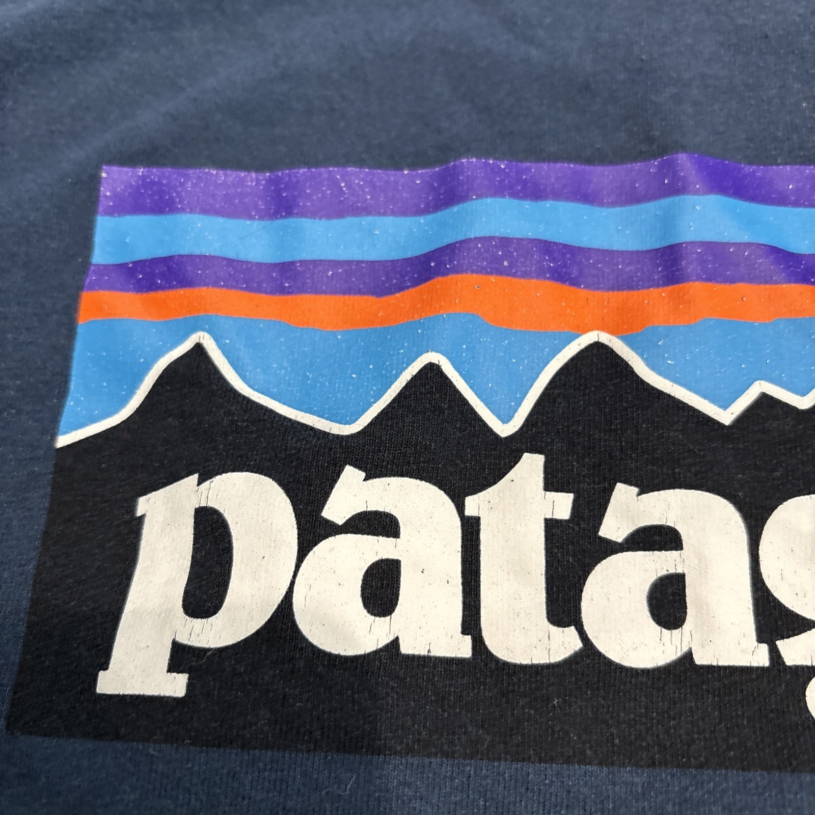 Patagonia Responsibili-Tee Long Sleeve Shirt Mens M Blue Logo Nature Hiking gallery