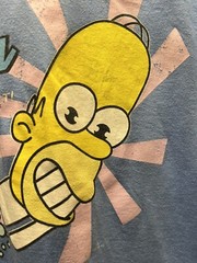 Homer Simpson Mr. Sparkle Is Disrespectful Of Dirt Periwinkle Blue T-Shirt READ