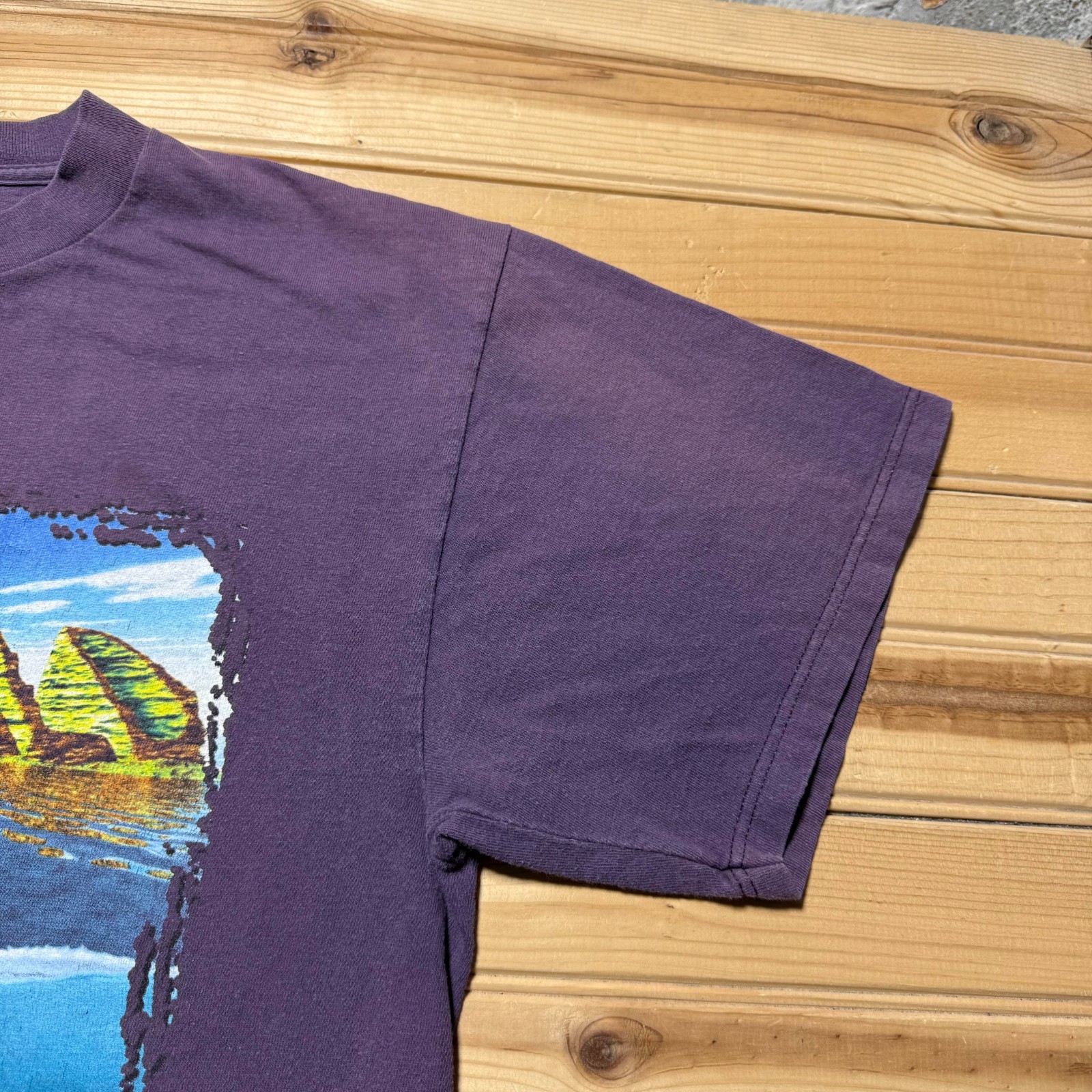 Vintage 90s Sea World Dolphins Ocean Graphic Souvenir T-Shirt Men's - Size Large gallery