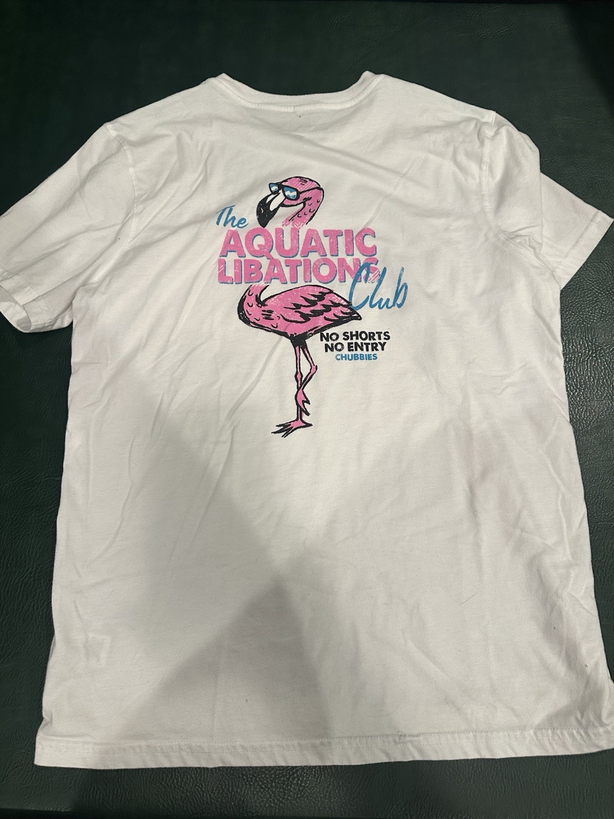 Chubbies The Aquatic Liberation Tshirt gallery
