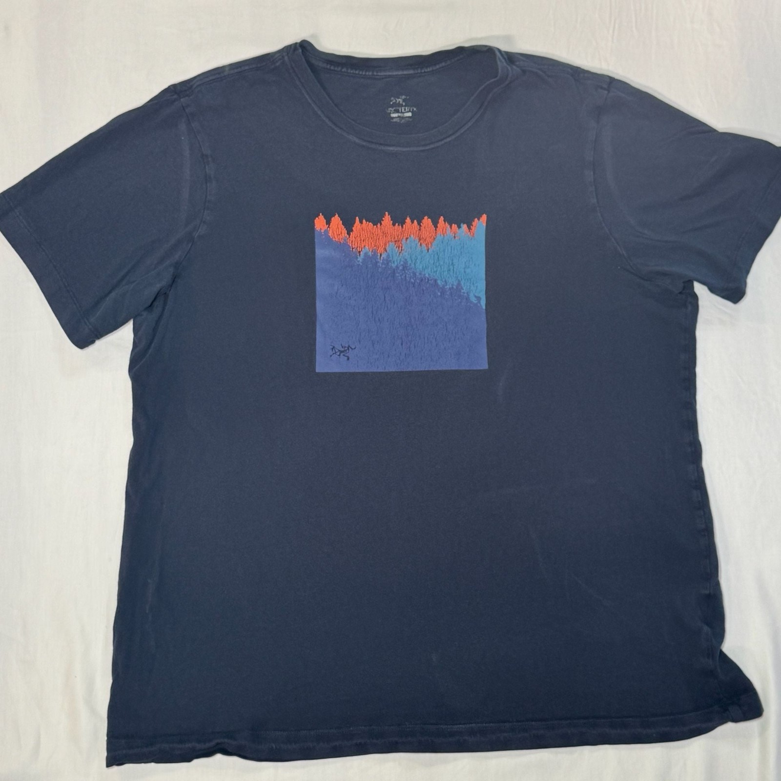 Arc'teryx Arc'Word Mountain Forest Graphic T-Shirt gallery