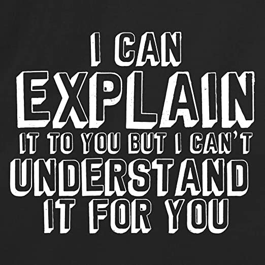 Unisex Black Half Sleeves Cotton Can Explain It To You Graphic Funny T Shirt gallery
