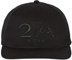 Protect The 2nd Amendment Richardson Embroidered One Size Fits All Baseball Hats
