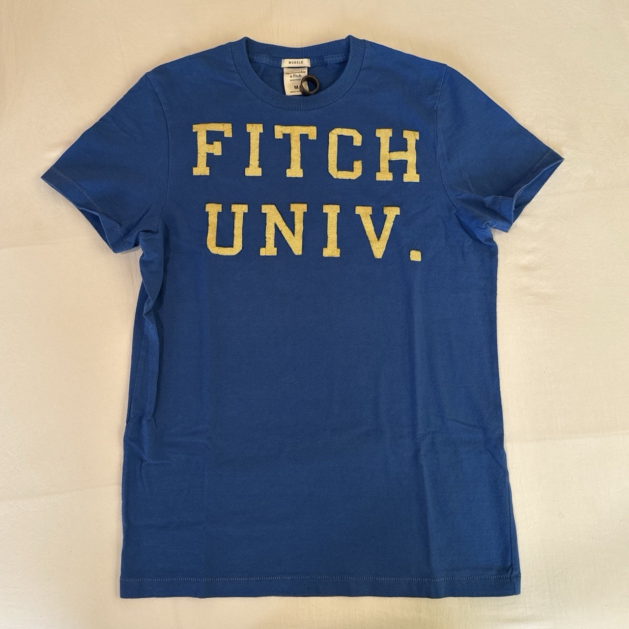 Abercrombie & Fitch Muscle Men’s Blue Crew Neck Cotton Knit College Tee M gallery