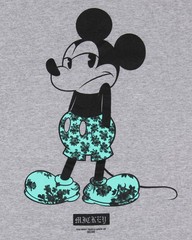 Neff Disney Men’s Mickey Mouse Tropical Filled Character Design T-Shirt Adult