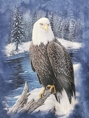The Mountain Bald Eagle T Shirt Size Large
