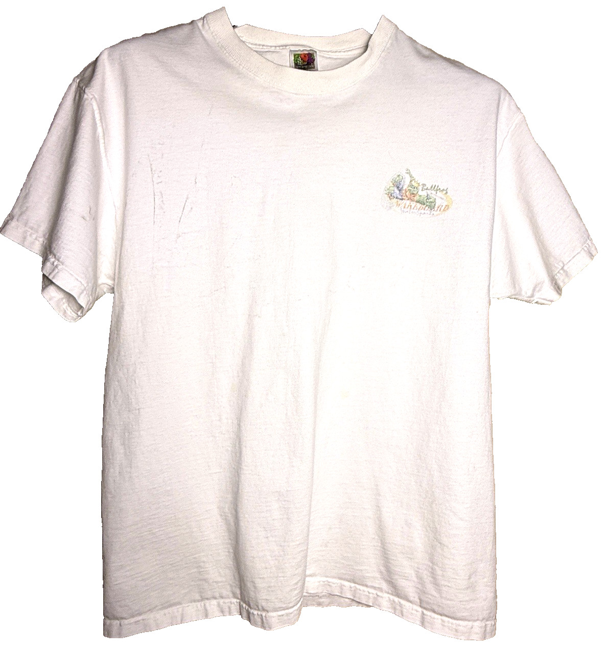 Vintage Y2K Bullfrog Wakeboard Watersports T Shirt XL Frog Graphic Tee gallery