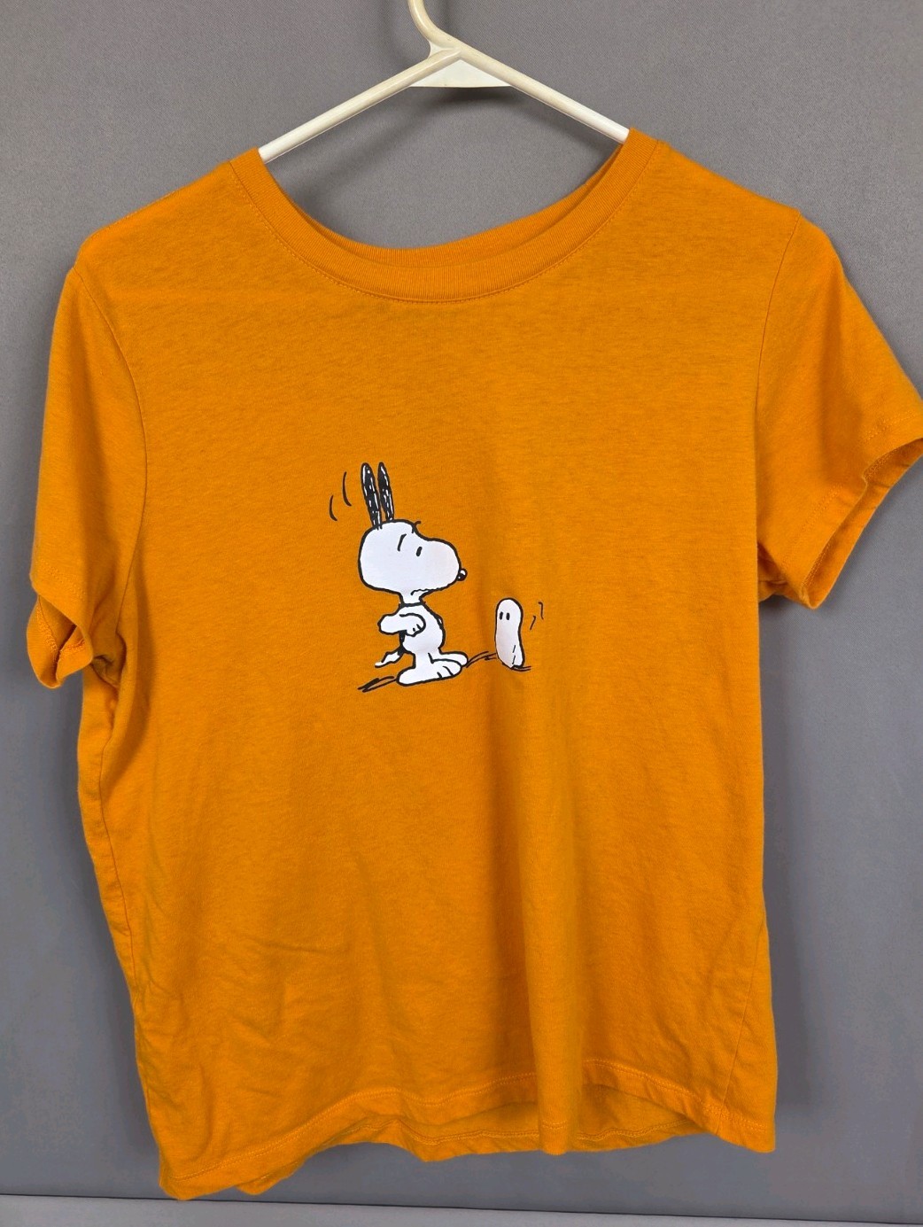Peanuts Snoopy Fall/ Halloween Shirt Size XL (Runs Small) Great Condition