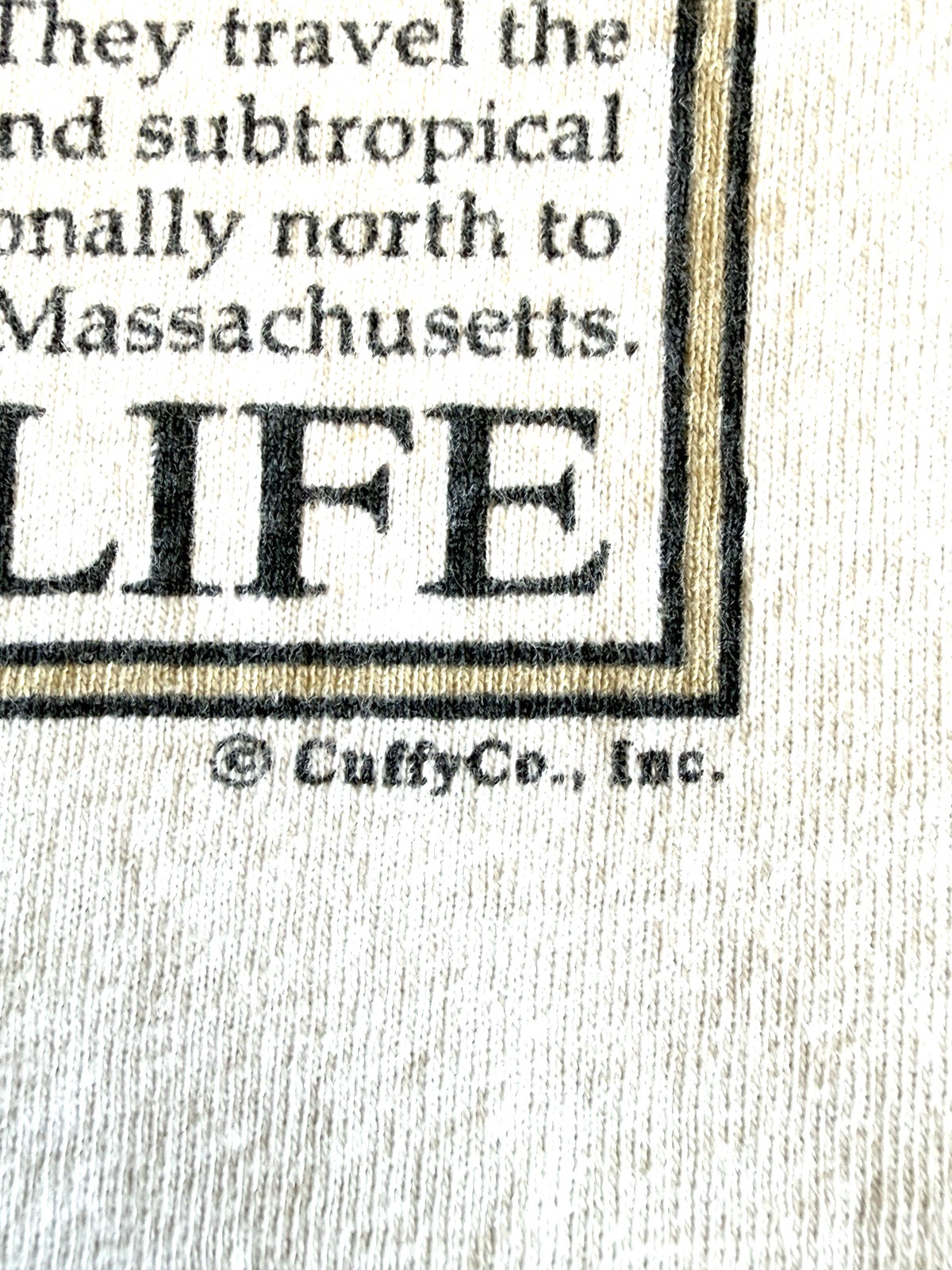 Vintage Green Turtle Endangered Cape Cod Sea Life Shirt Single Stitch XL Cuffy gallery