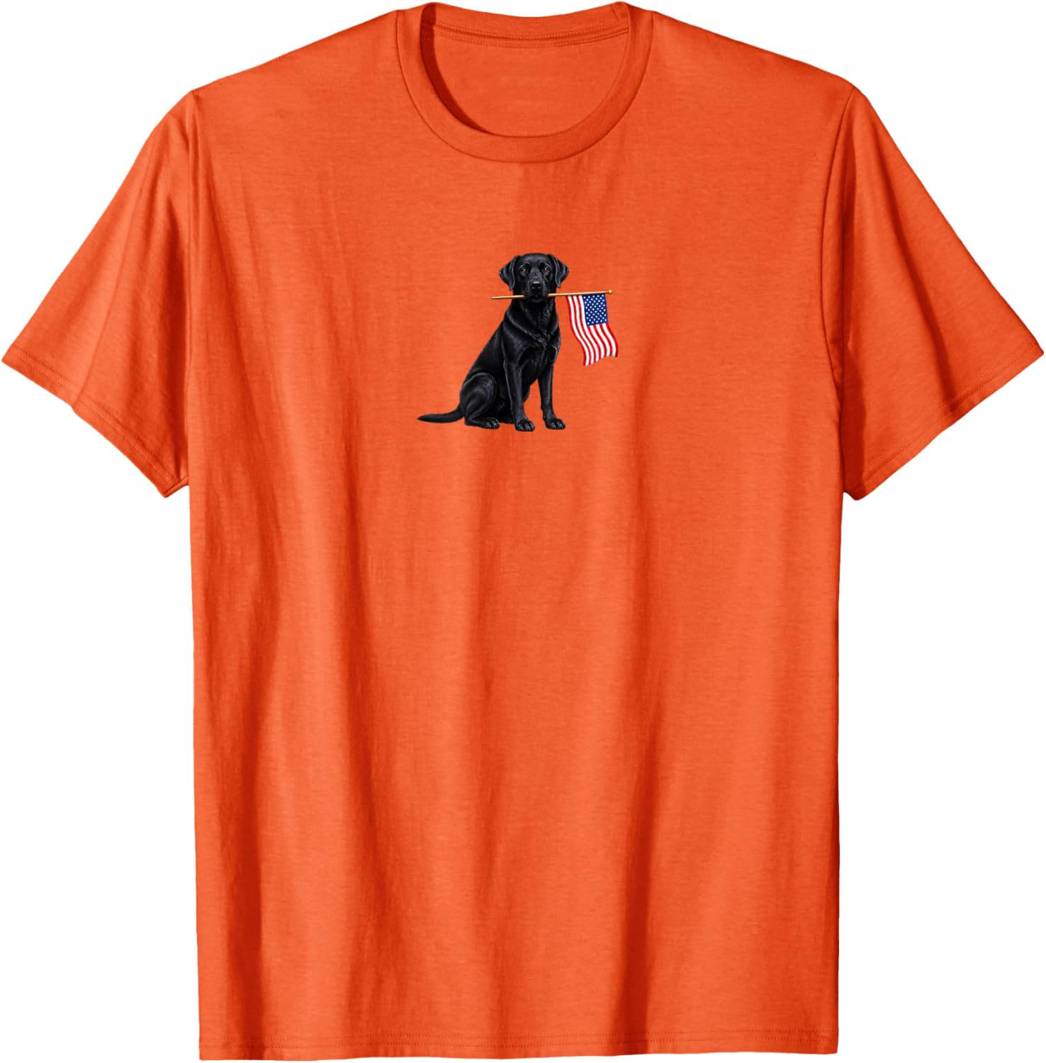 Black Labrador Retriever Holding American USA Flag 4 of July T-Shirt Gift S-5XL gallery