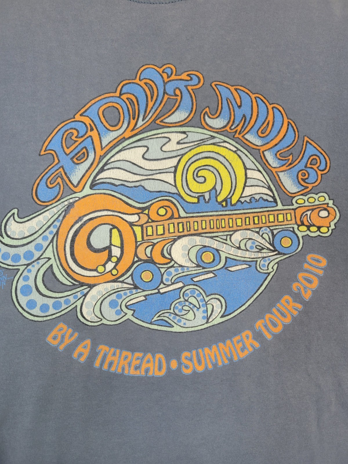 Govt Mule Vintage T-Shirt By A Thread Summer 2010 Tour Size XL gallery