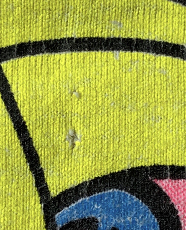 Super rare, late 80s, Christian Hosoi, Santa Cruz, Skate Shirt, 2-SIDER gallery
