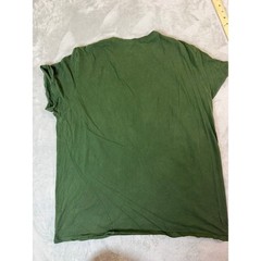 AMERICAN EAGLE Shirt Mens XL Green Eagle Graphic Athletic Fit Tee