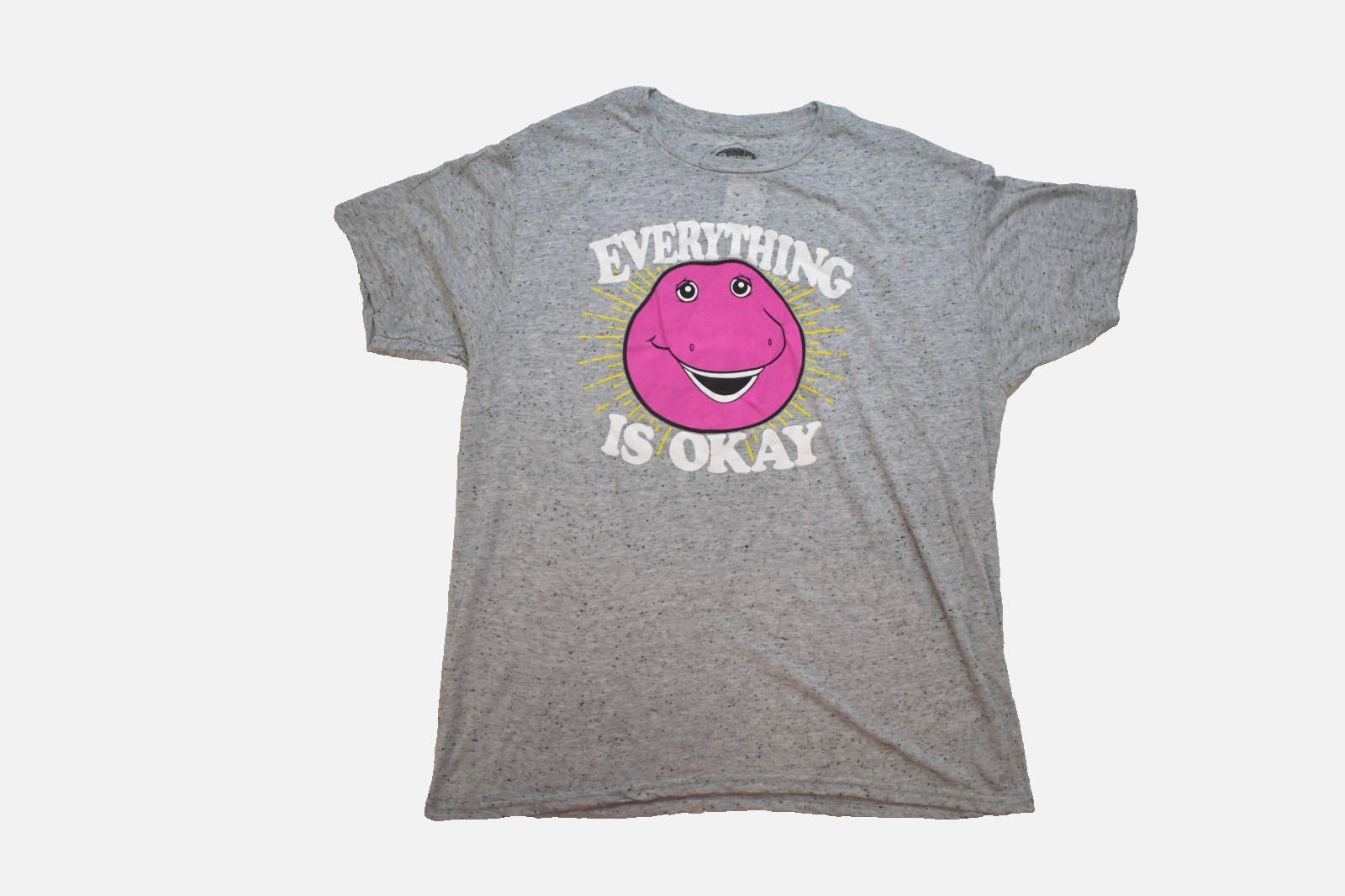 Barney Adult Everything Is Okay Semi-Burnout Cool Dinosaur Gray Shirt NWT S-2XL gallery