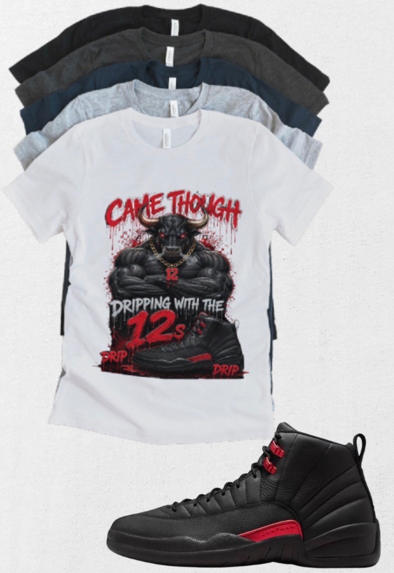 Shirt to match Jordan 12 Bloodline AJ12 Came through Matching Tee Streetwear gallery