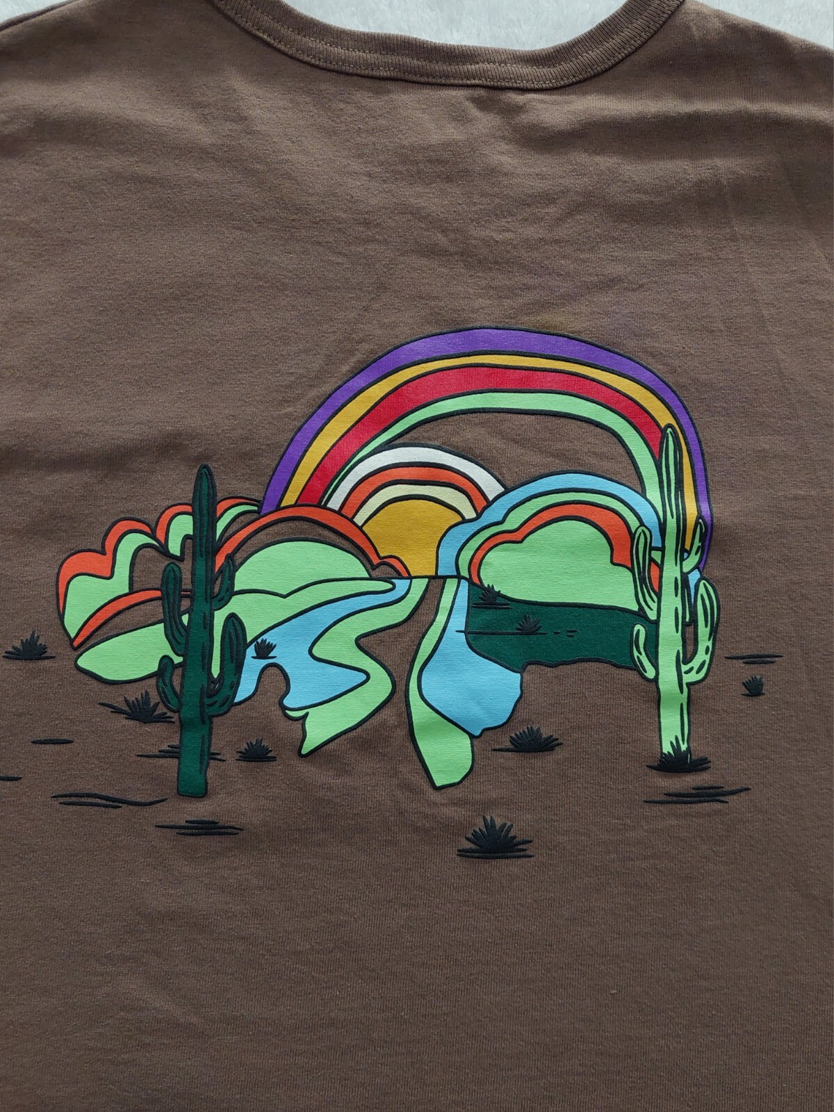 CHAMPION T-Shirt Men's Size Medium Cactus Rainbow Graphic Brown Embroidered Logo gallery